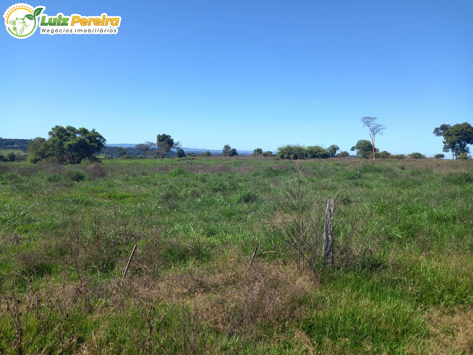 Terreno à venda, 300m² - Foto 2