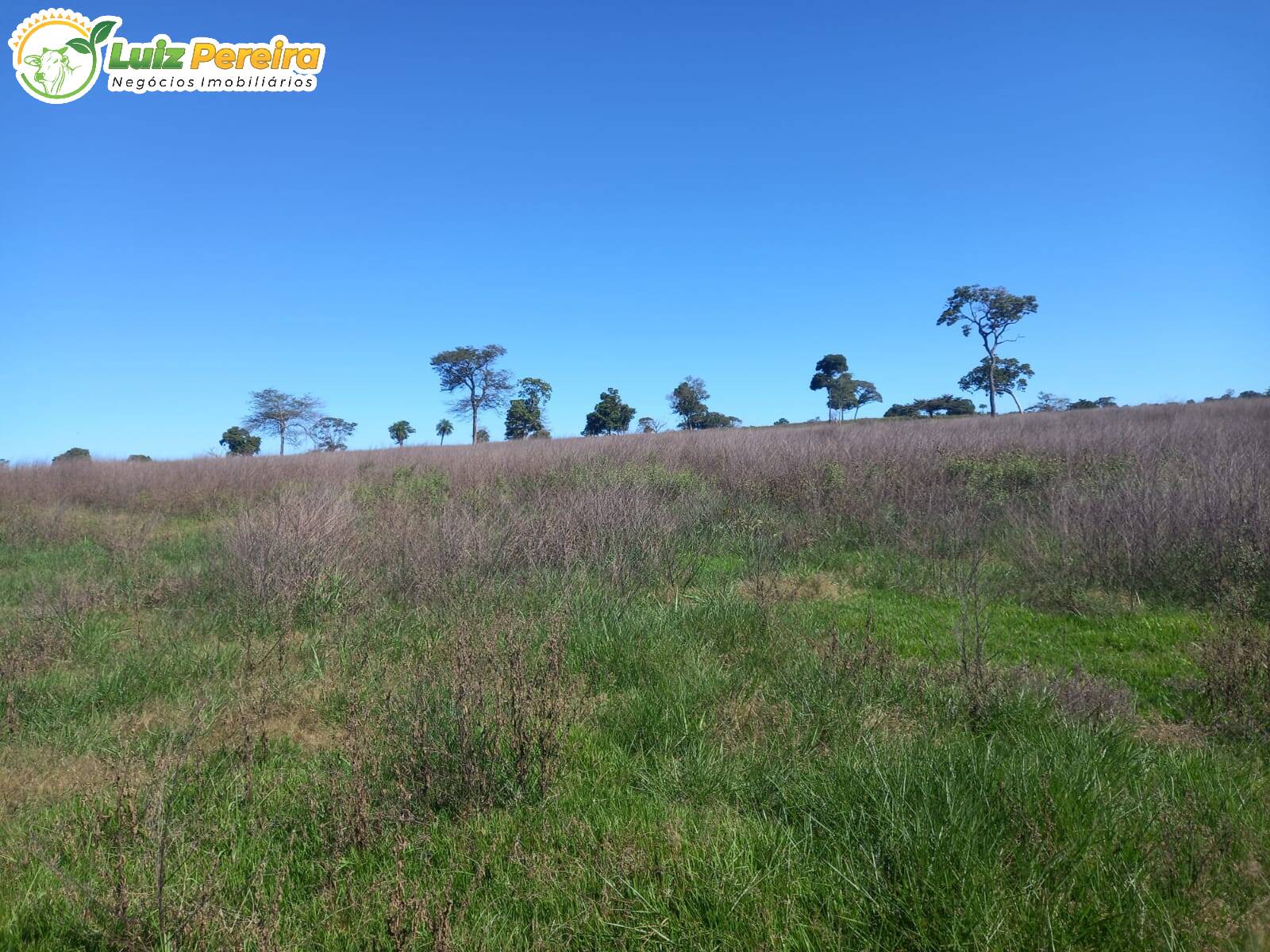 Terreno à venda, 300m² - Foto 3