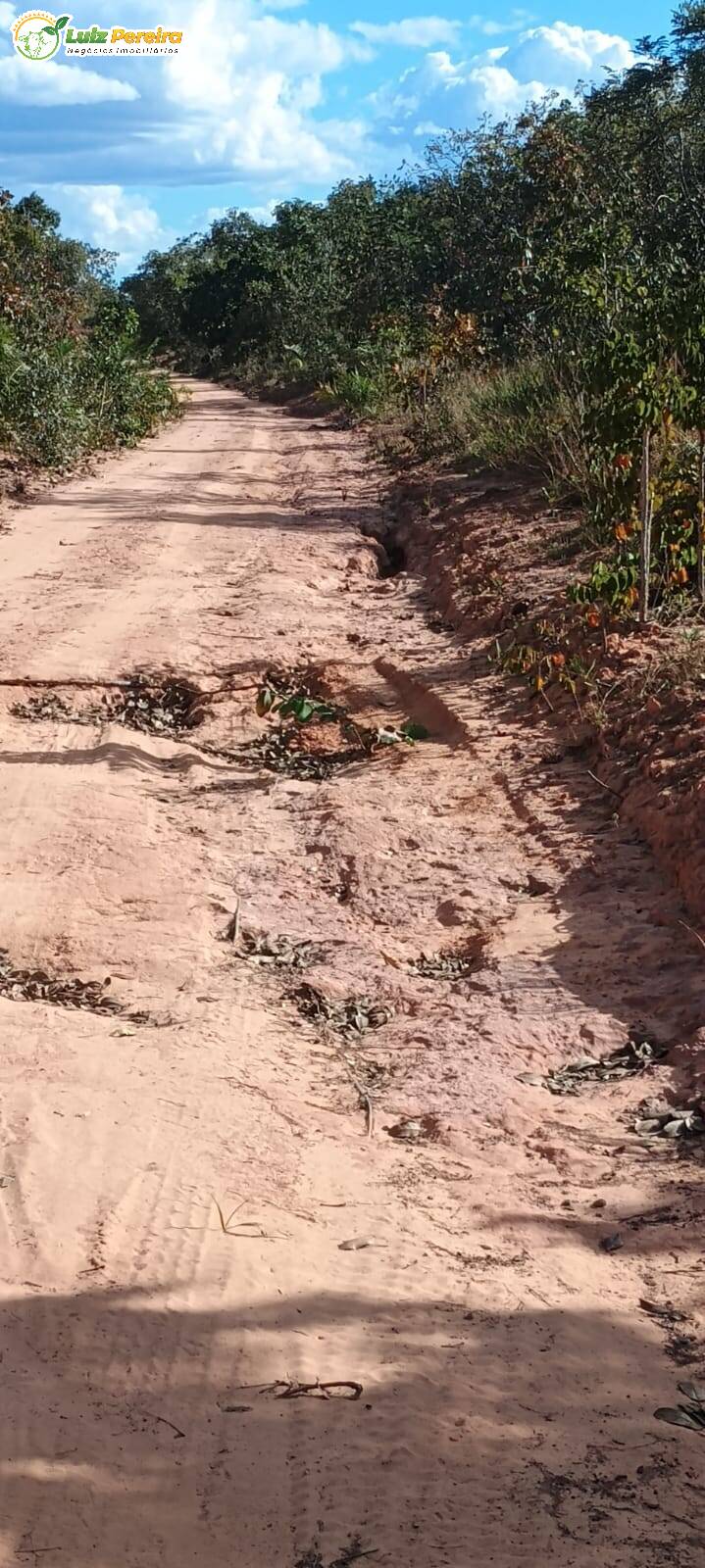 Terreno à venda, 1645m² - Foto 6