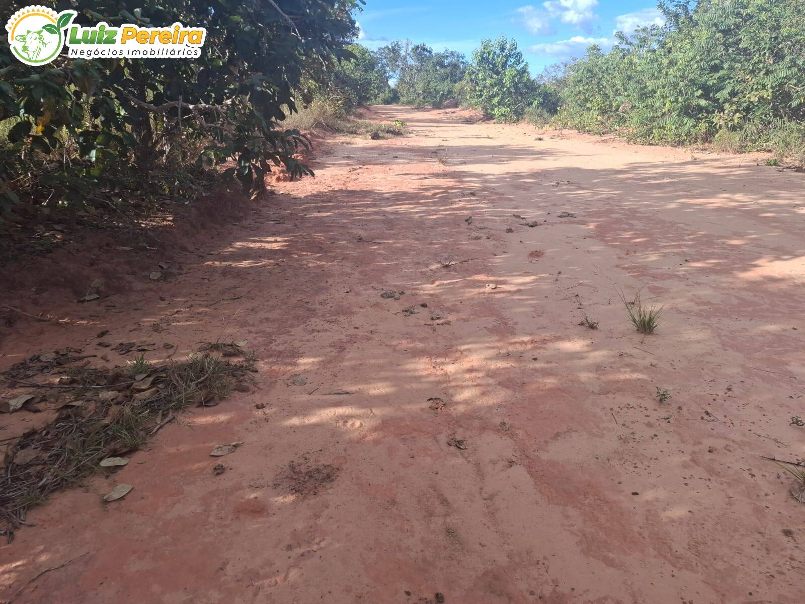 Terreno à venda, 1645m² - Foto 11