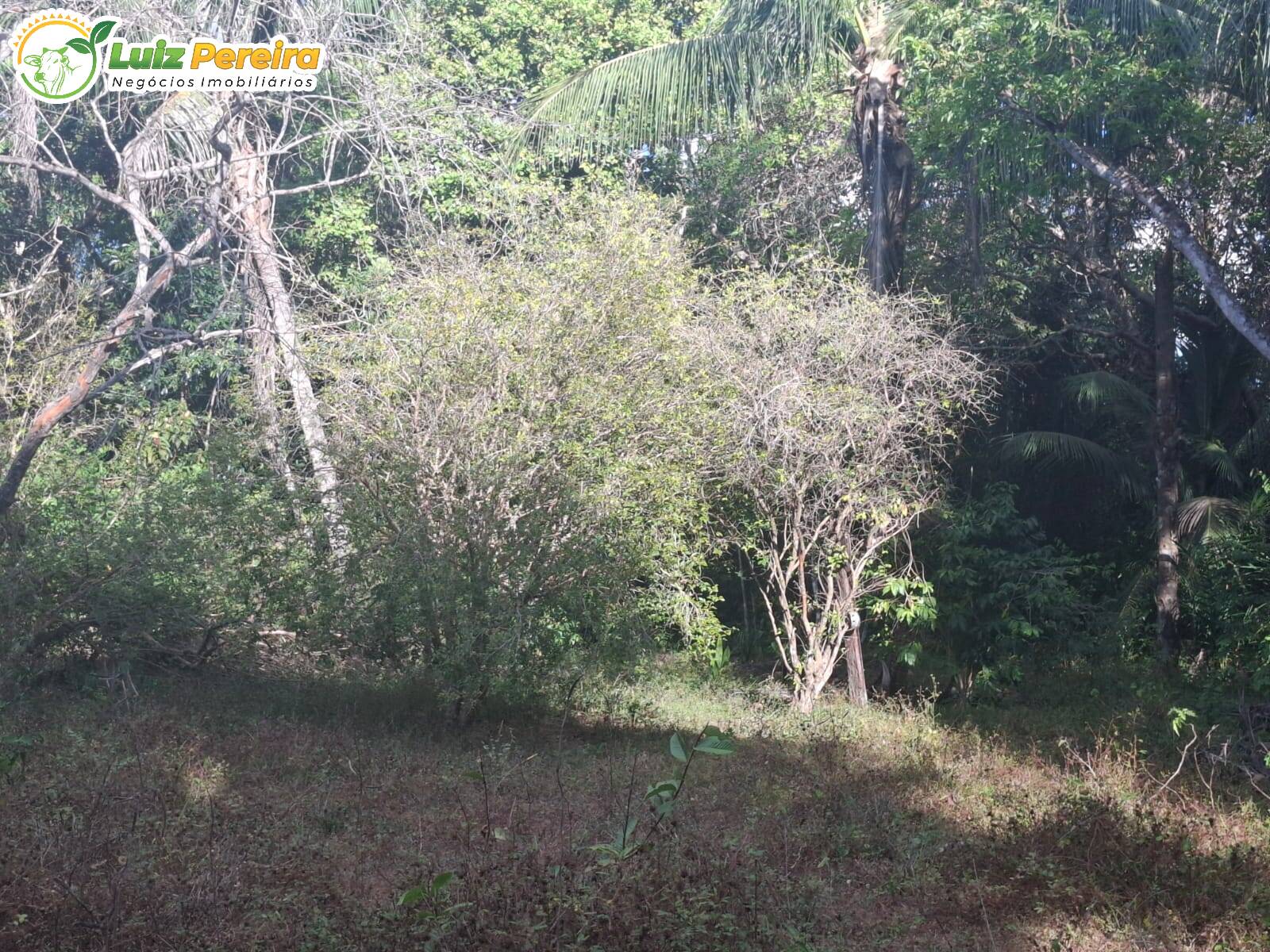 Terreno à venda, 1645m² - Foto 5