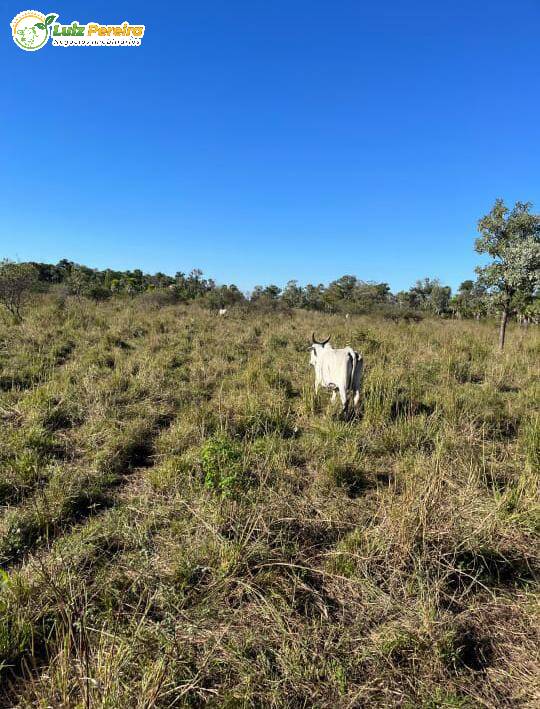 Terreno, 2050 m² - Foto 4
