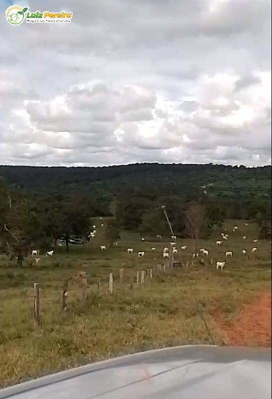 Terreno, 249 m² - Foto 1