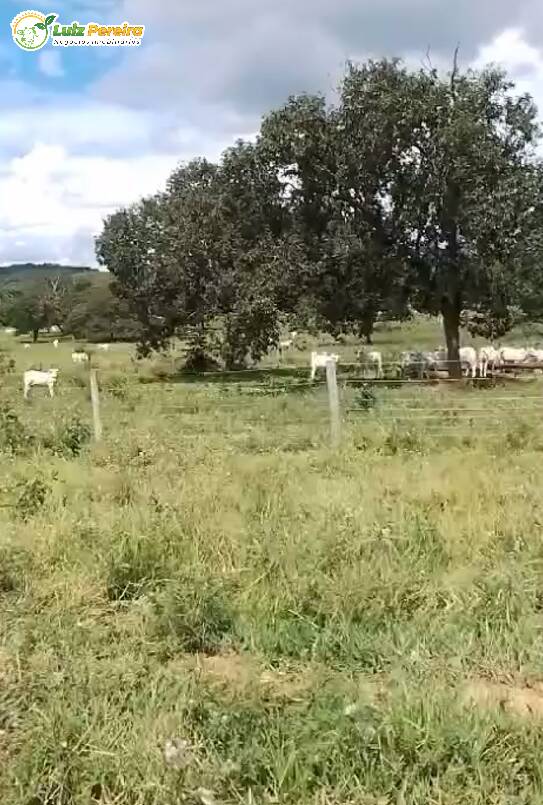 Terreno, 249 m² - Foto 2