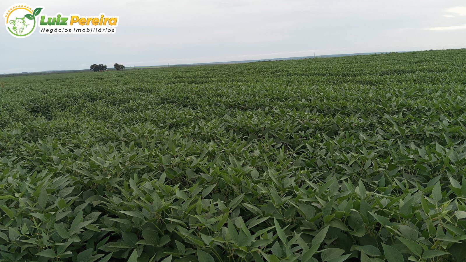 Terreno, 338 m² - Foto 2