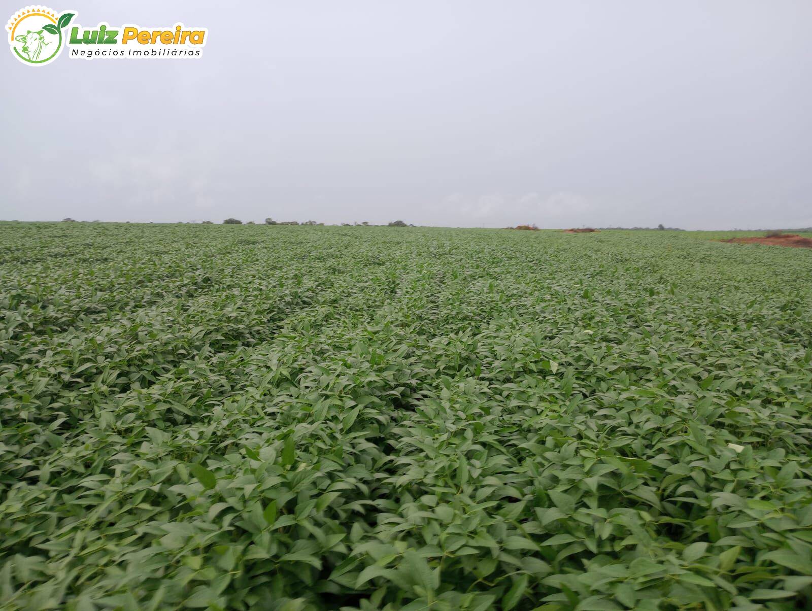 Terreno, 338 m² - Foto 1