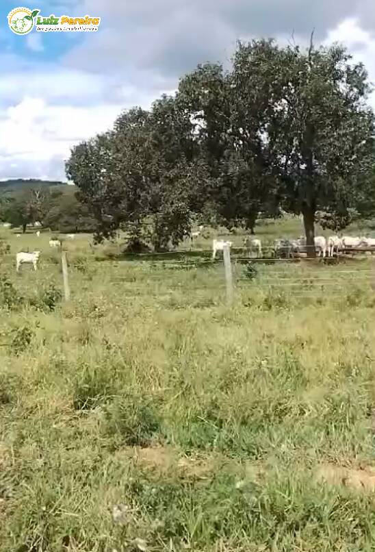 Terreno, 249 m² - Foto 5