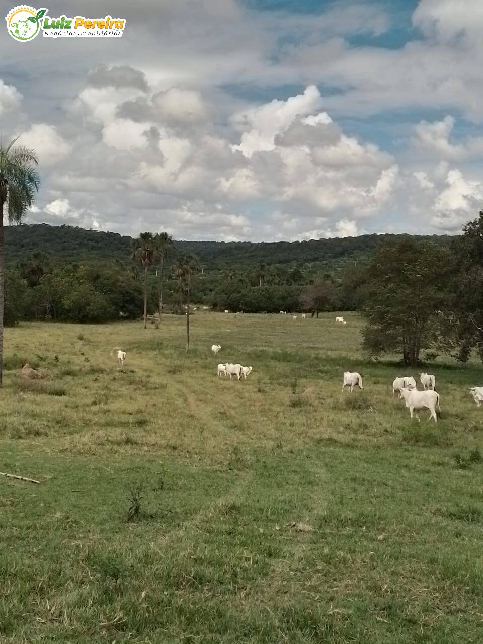 Terreno, 249 m² - Foto 4