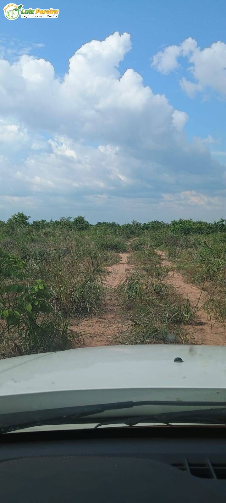 Terreno, 1636 m² - Foto 4