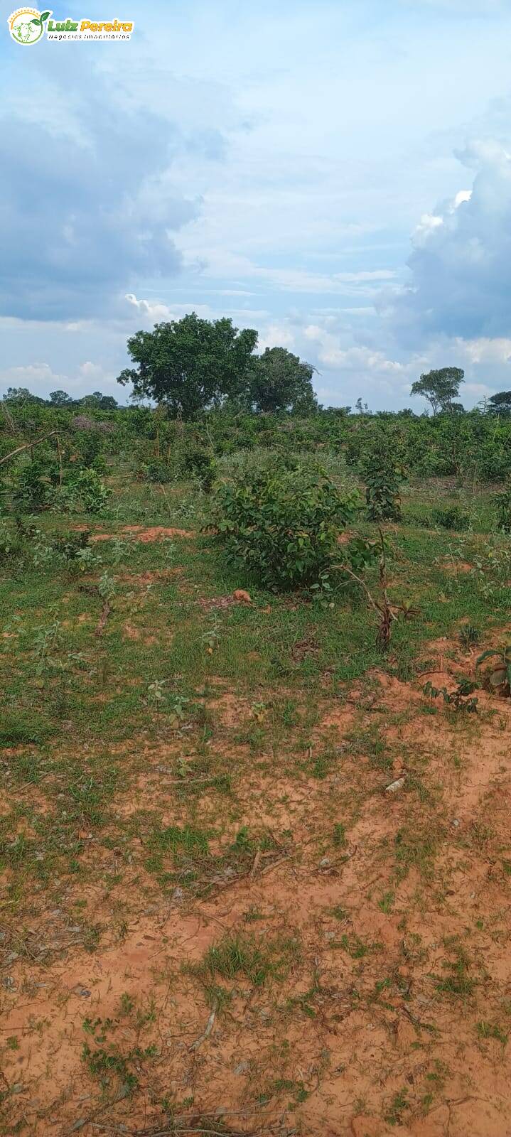 Terreno, 1636 m² - Foto 2