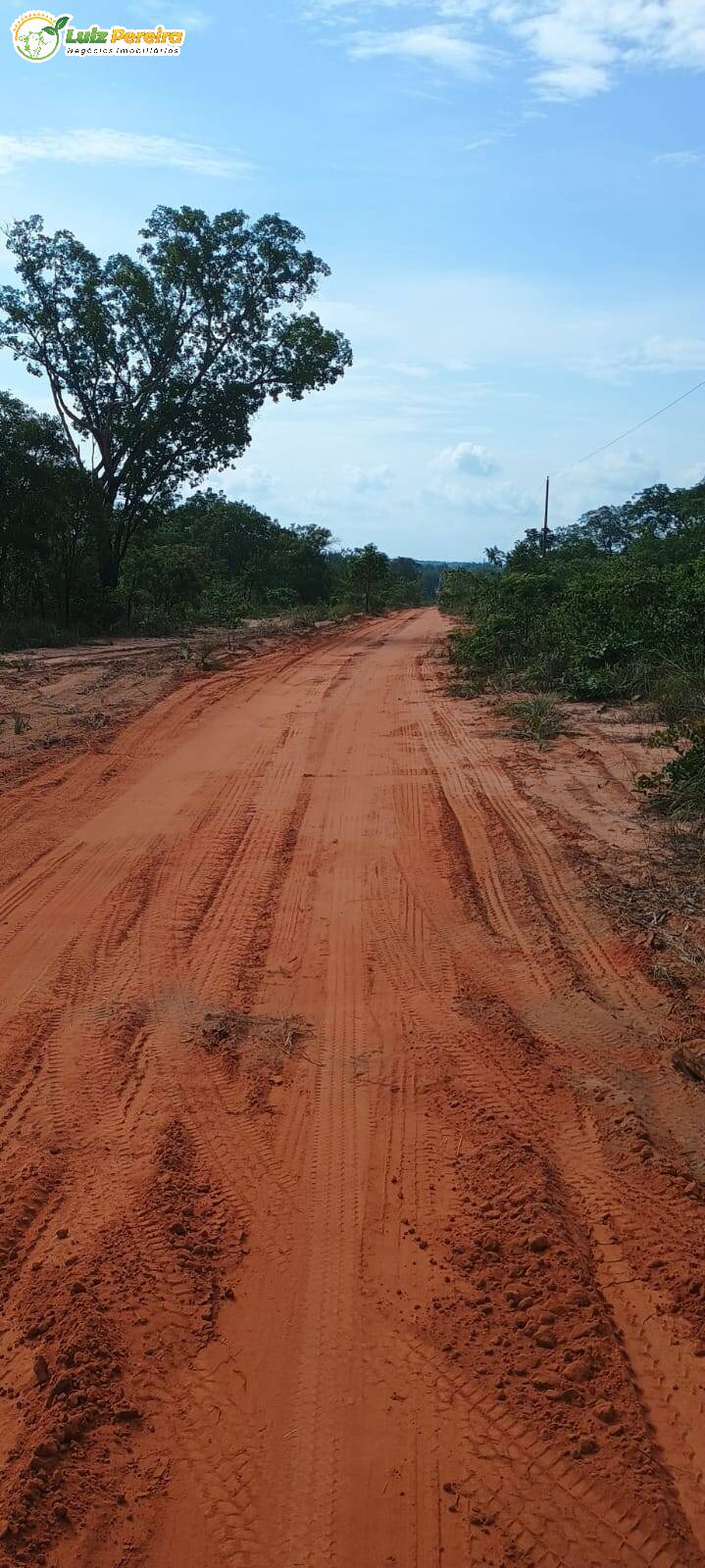 Terreno, 1636 m² - Foto 7