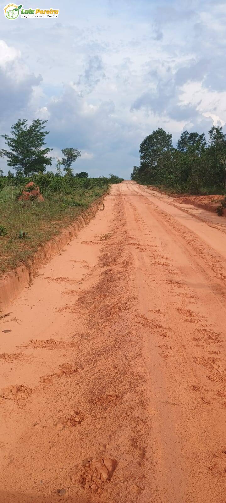 Terreno, 1636 m² - Foto 10