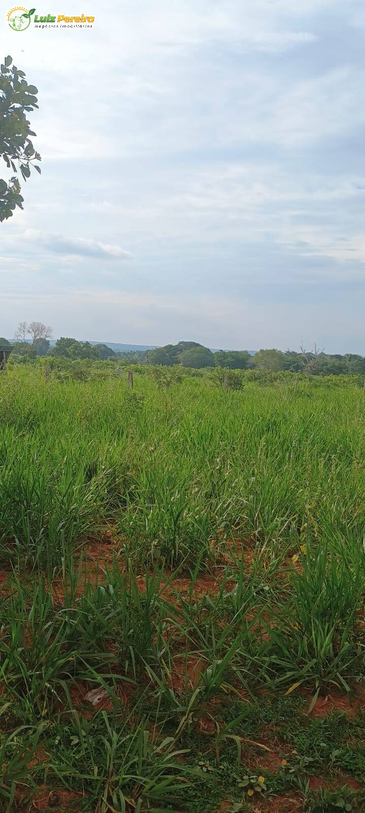 Terreno, 1636 m² - Foto 3