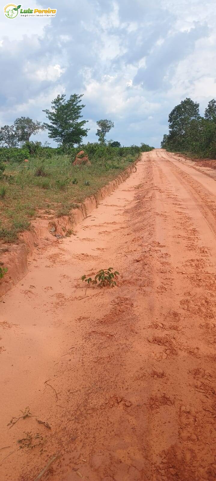 Terreno, 1636 m² - Foto 9