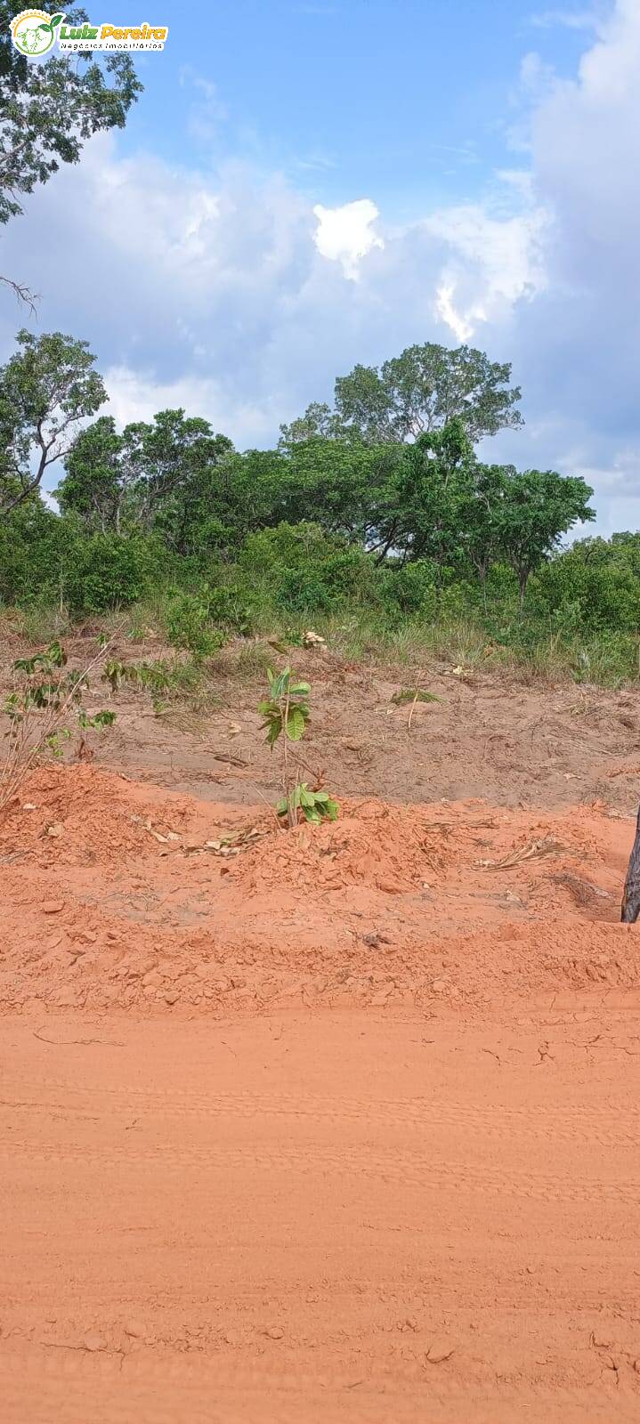 Terreno, 1636 m² - Foto 5