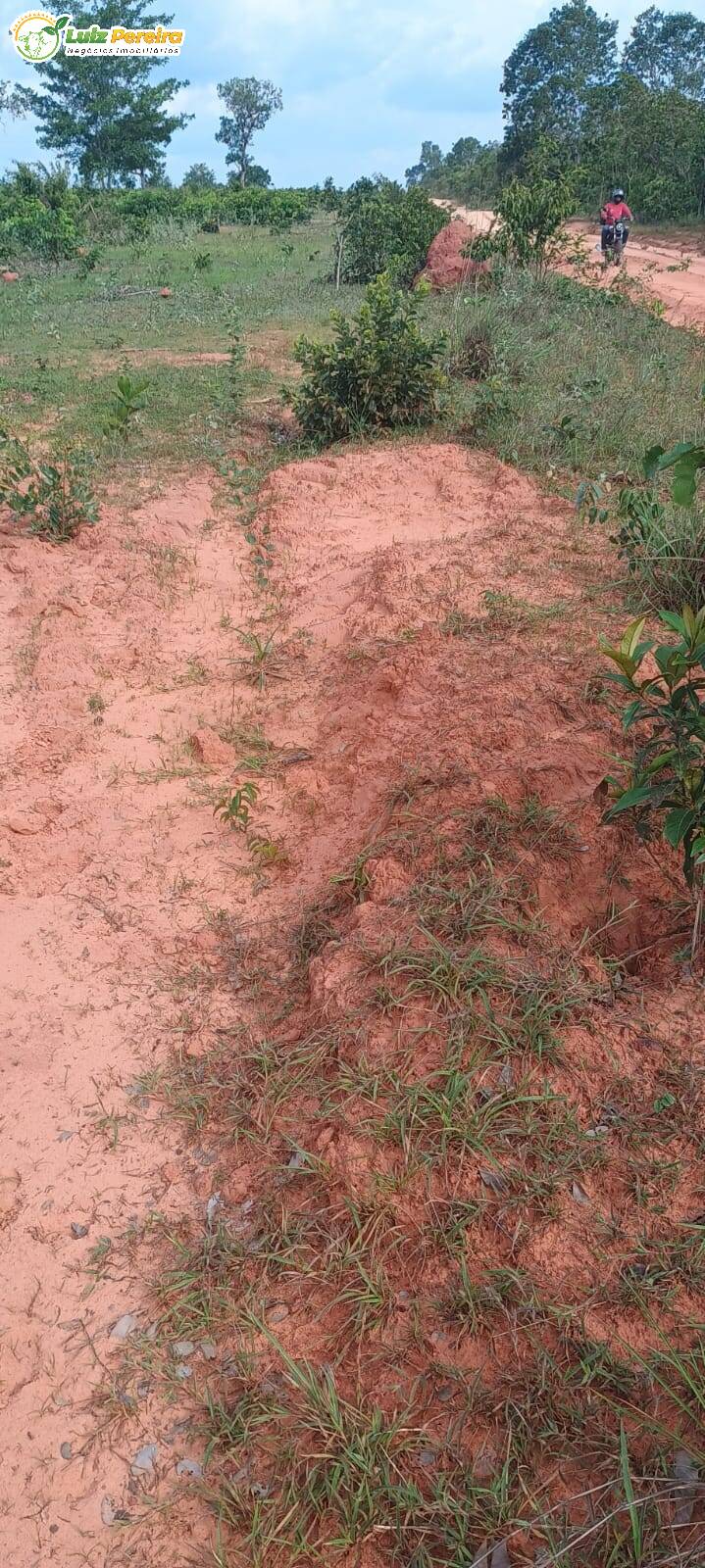 Terreno, 1636 m² - Foto 12