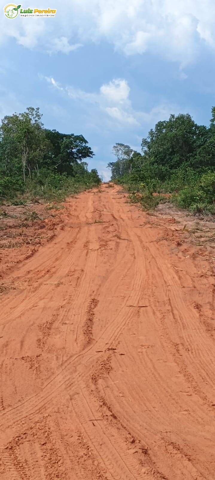 Terreno, 1636 m² - Foto 14