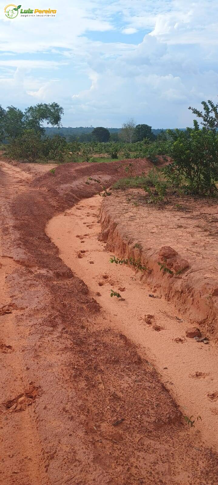 Terreno, 1636 m² - Foto 16