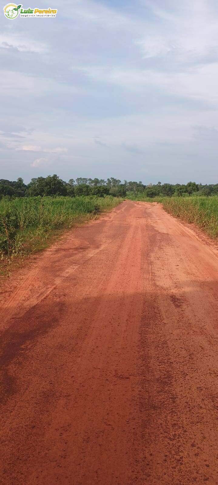 Terreno, 1636 m² - Foto 13