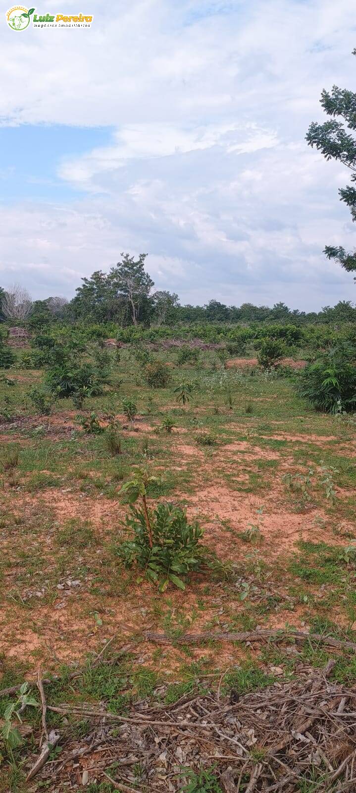 Terreno, 1636 m² - Foto 1