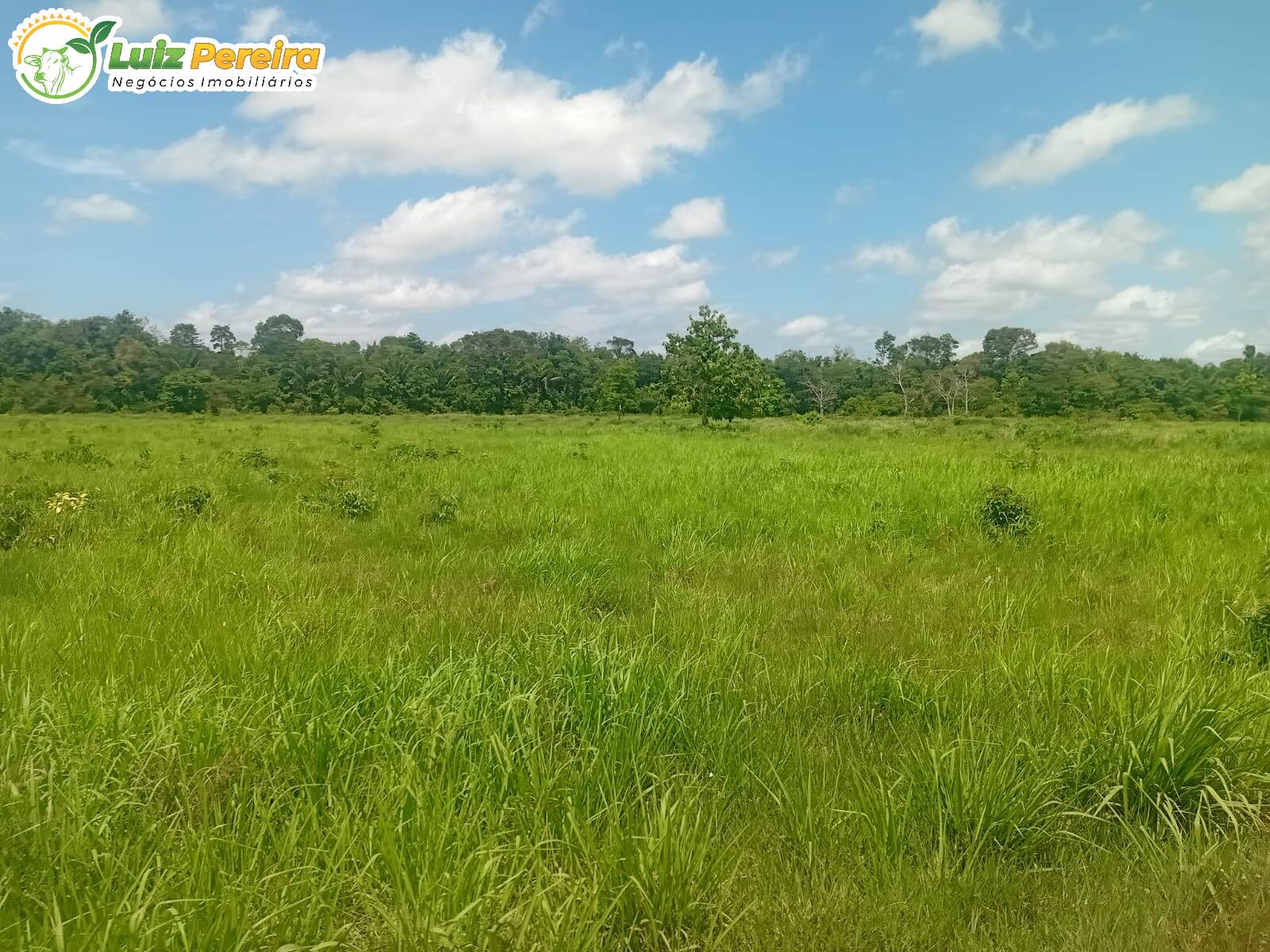 Terreno à venda, 1640m² - Foto 2
