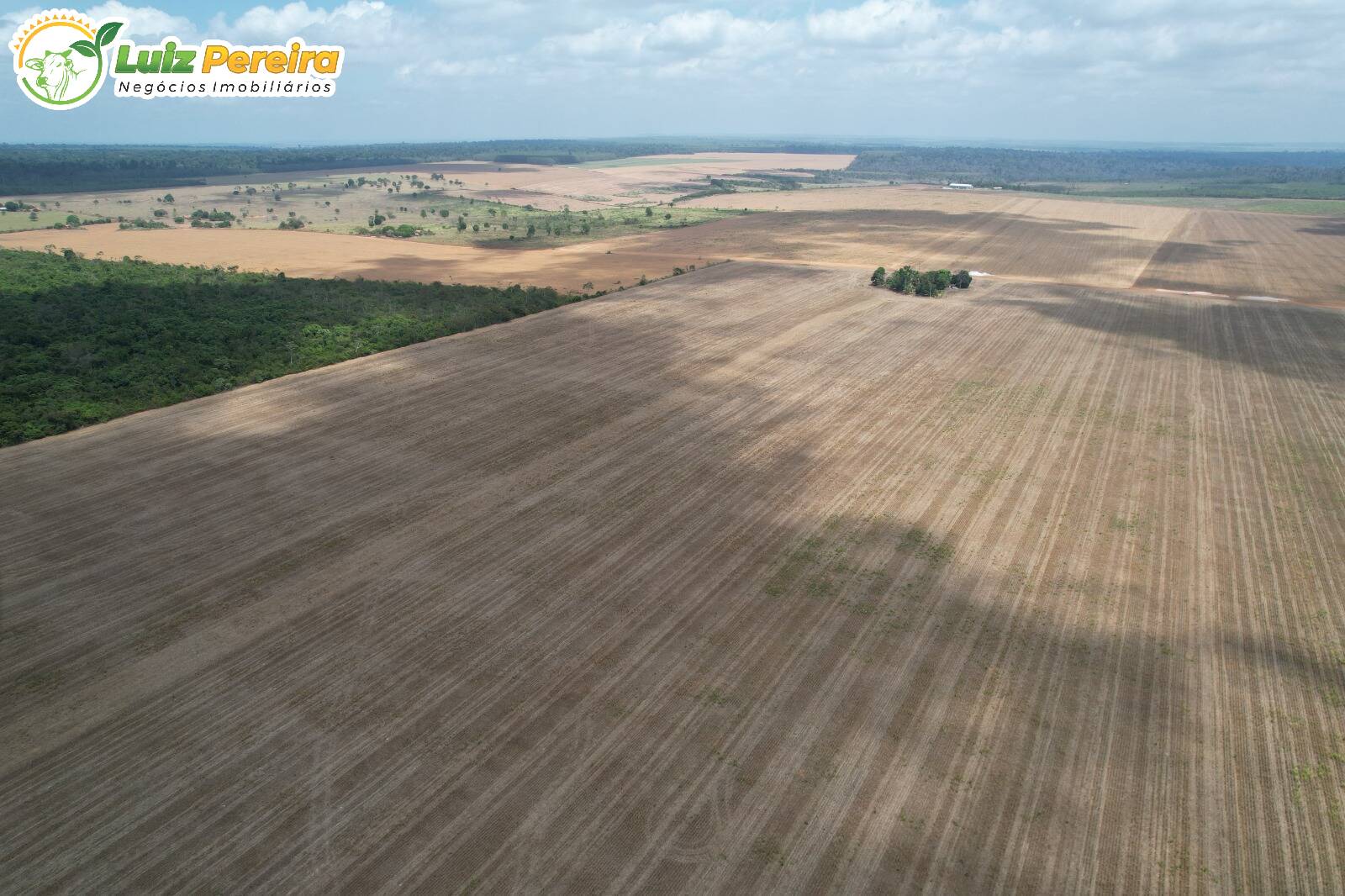 Terreno à venda, 482m² - Foto 6