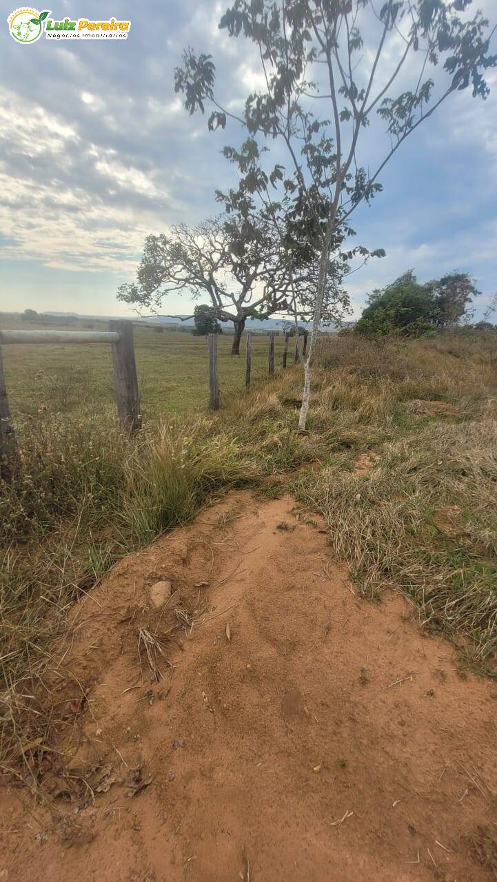 Terreno, 727 m² - Foto 7