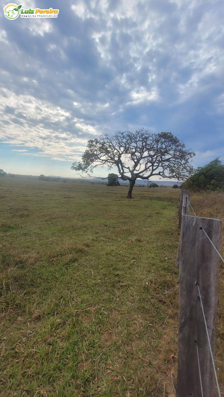 Terreno, 727 m² - Foto 9