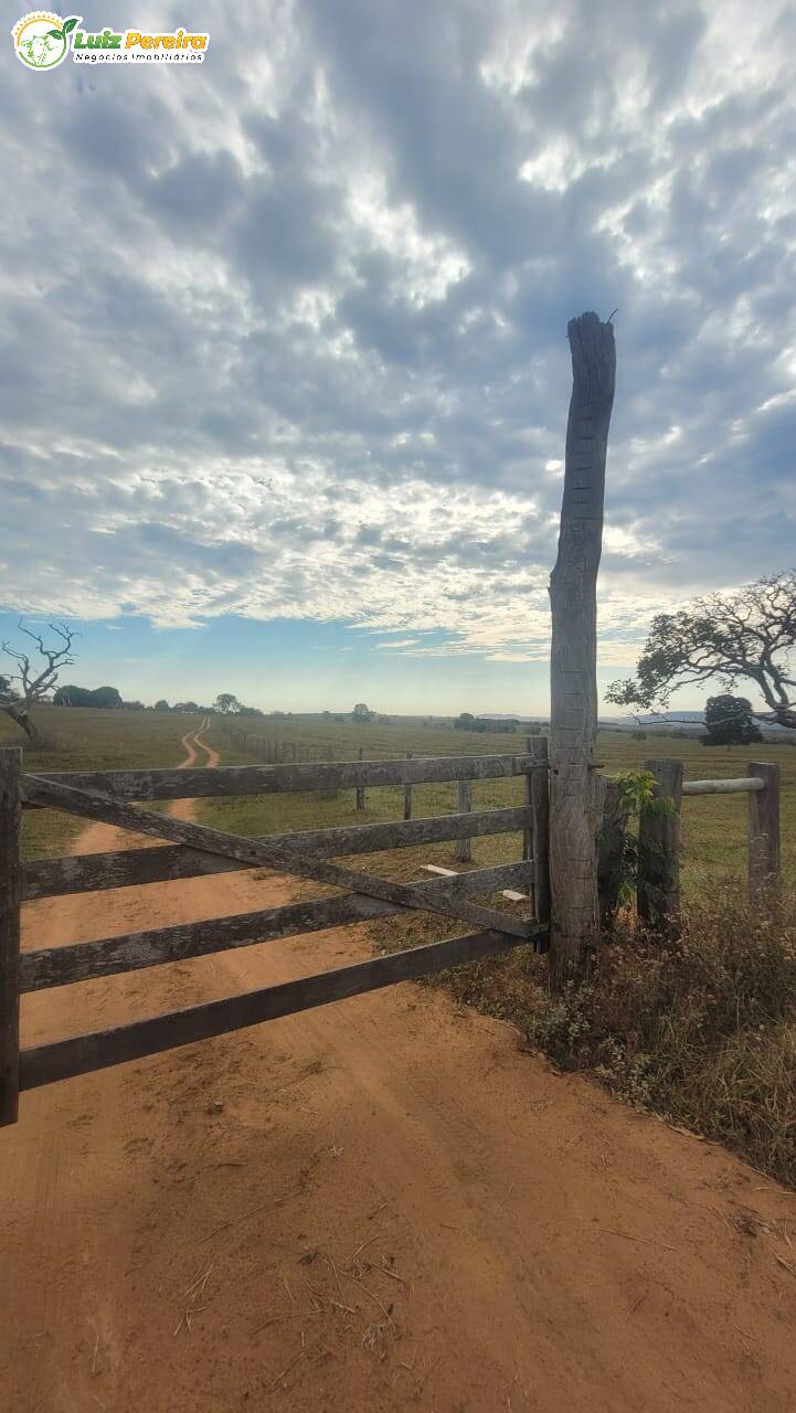 Terreno, 727 m² - Foto 11