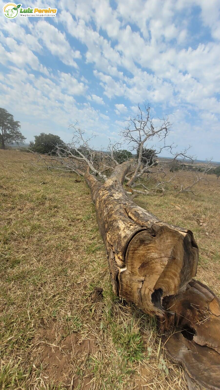 Terreno, 106 m² - Foto 12