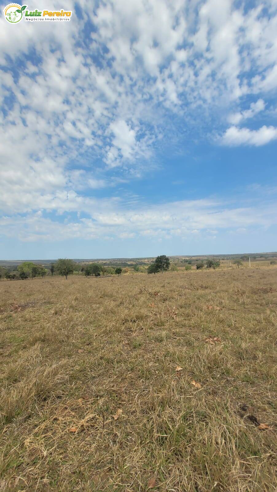 Terreno, 106 m² - Foto 15