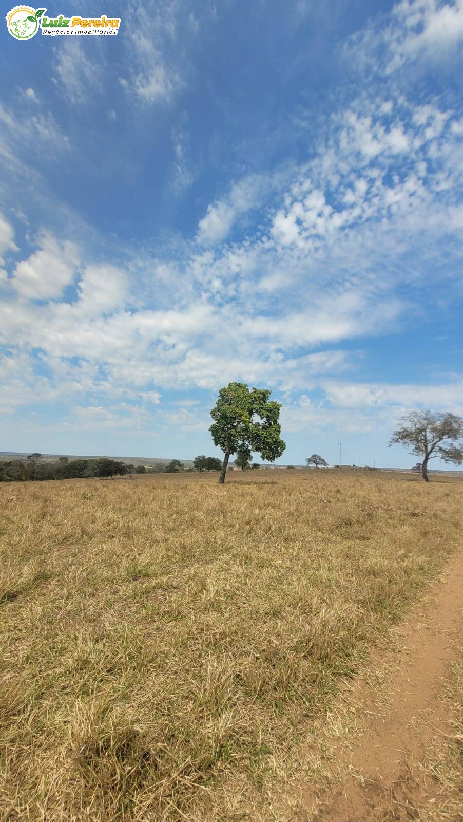 Terreno, 106 m² - Foto 13