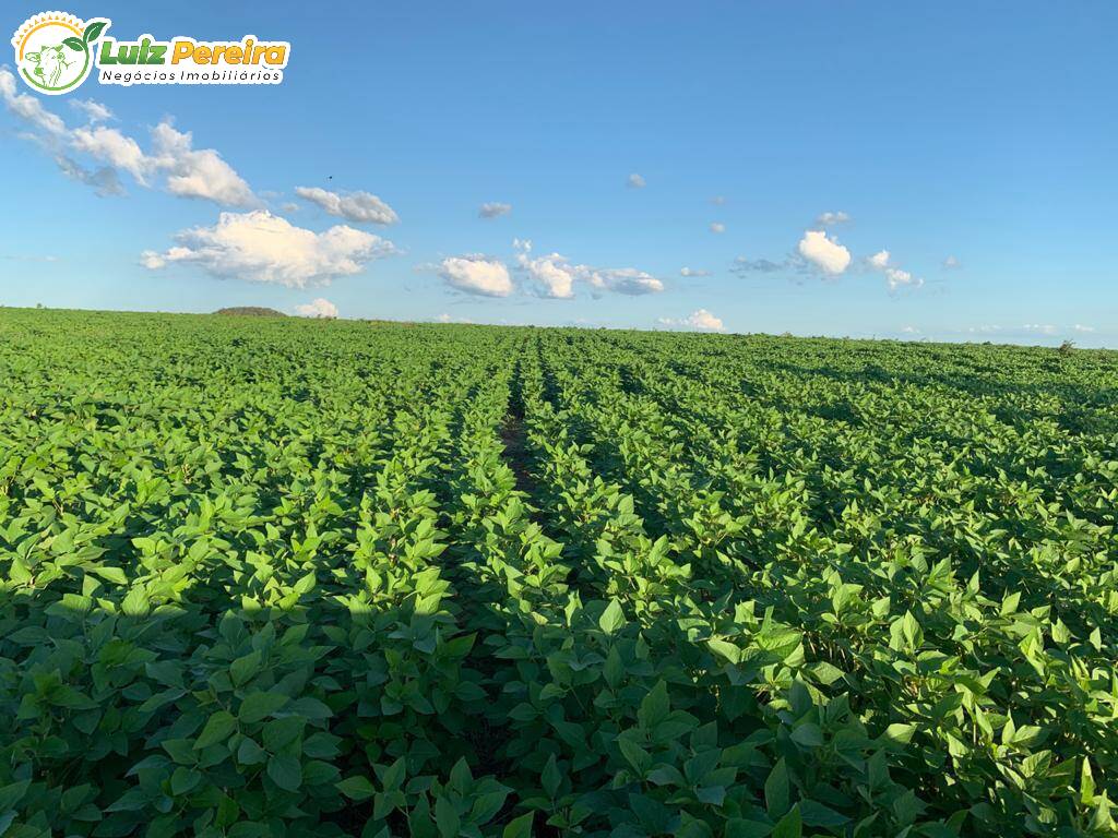 Terreno, 2828 m² - Foto 9