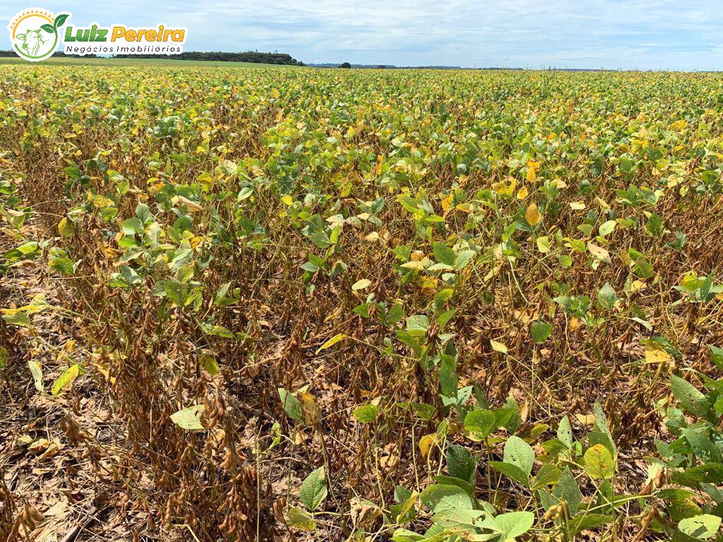 Terreno, 2828 m² - Foto 10