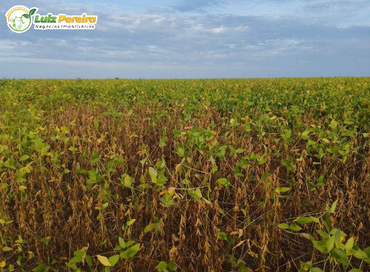 Terreno, 2828 m² - Foto 11