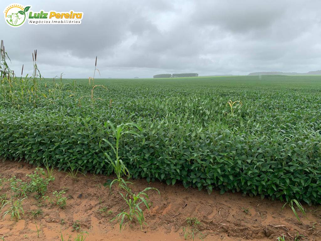 Terreno, 2828 m² - Foto 6