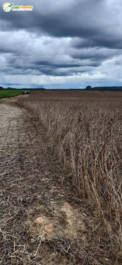 Terreno, 2828 m² - Foto 13