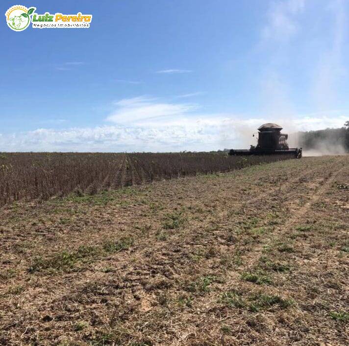 Terreno, 2828 m² - Foto 14