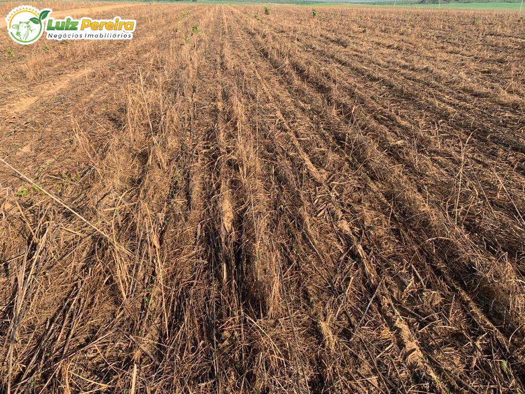 Terreno, 2828 m² - Foto 15