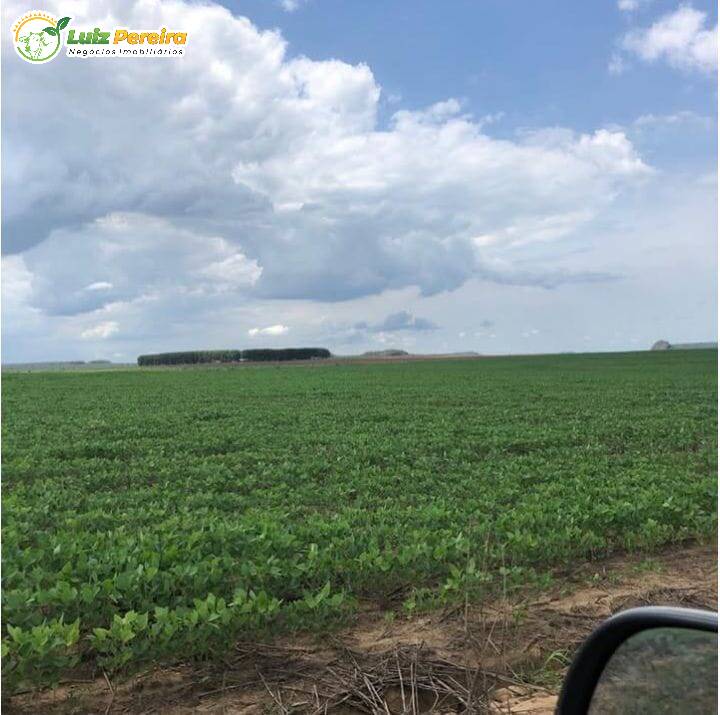 Terreno, 2828 m² - Foto 7