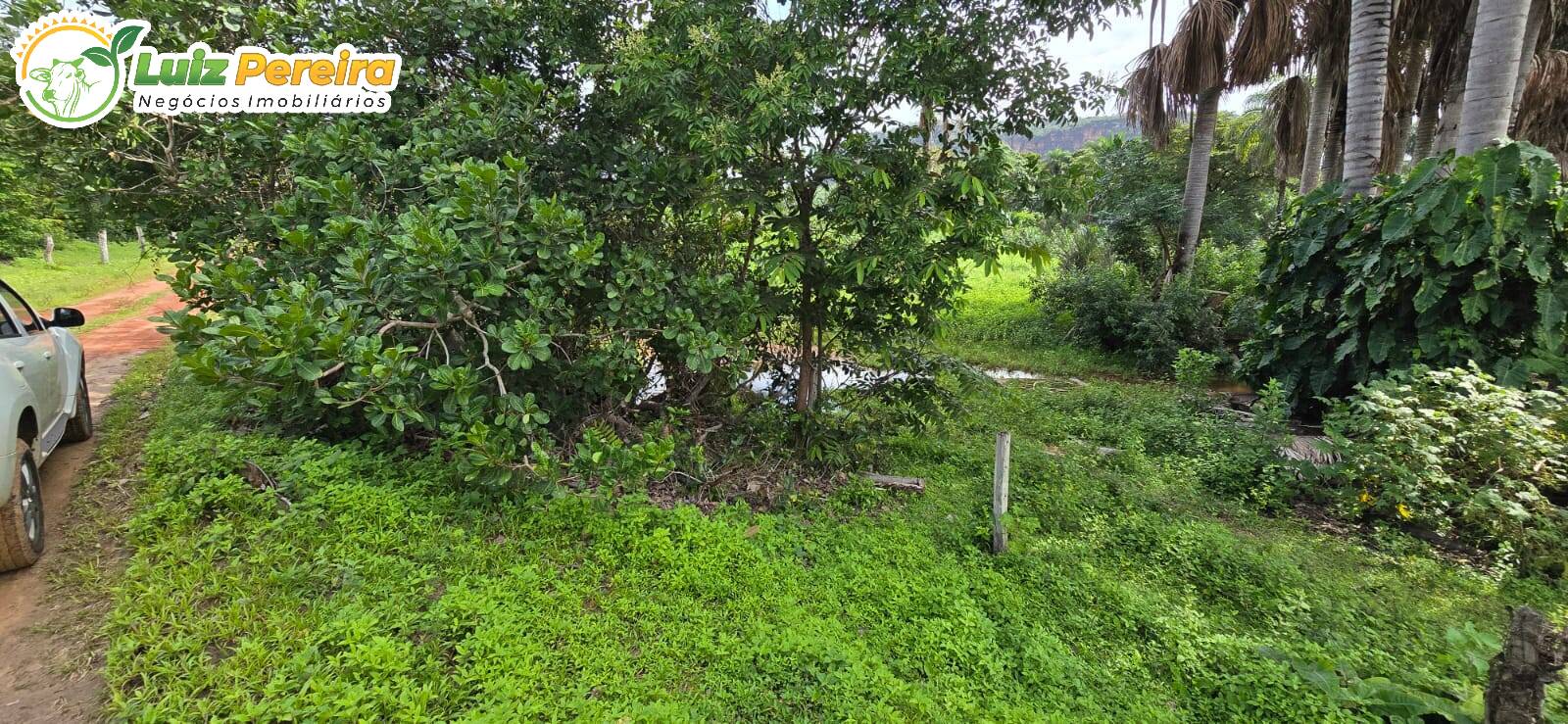 Terreno à venda, 937m² - Foto 6