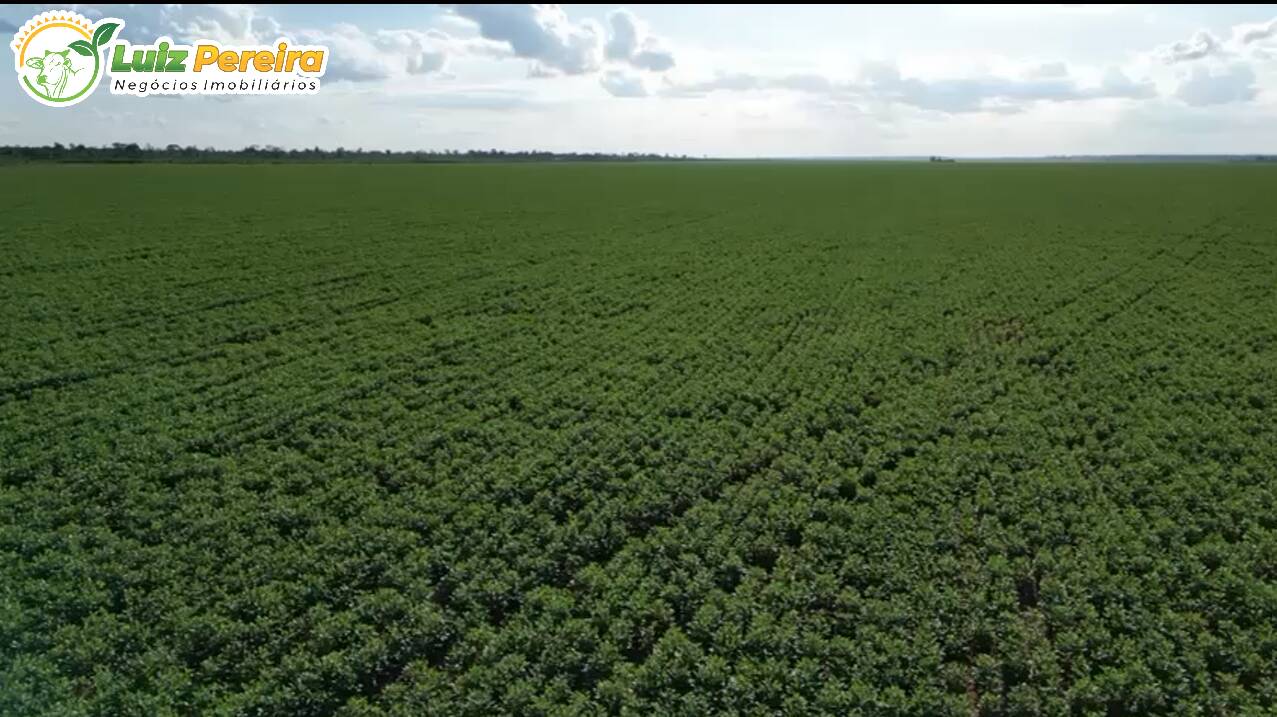 Terreno, 4773 m² - Foto 5