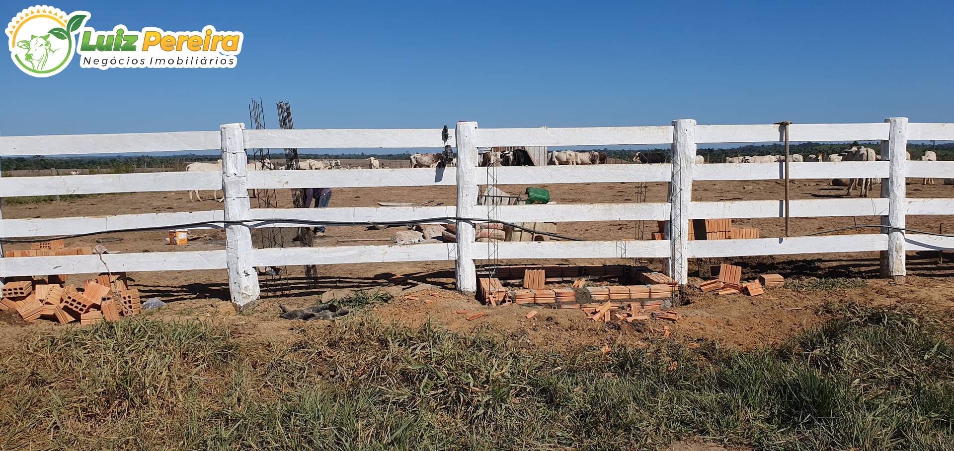 Terreno, 6312 m² - Foto 15