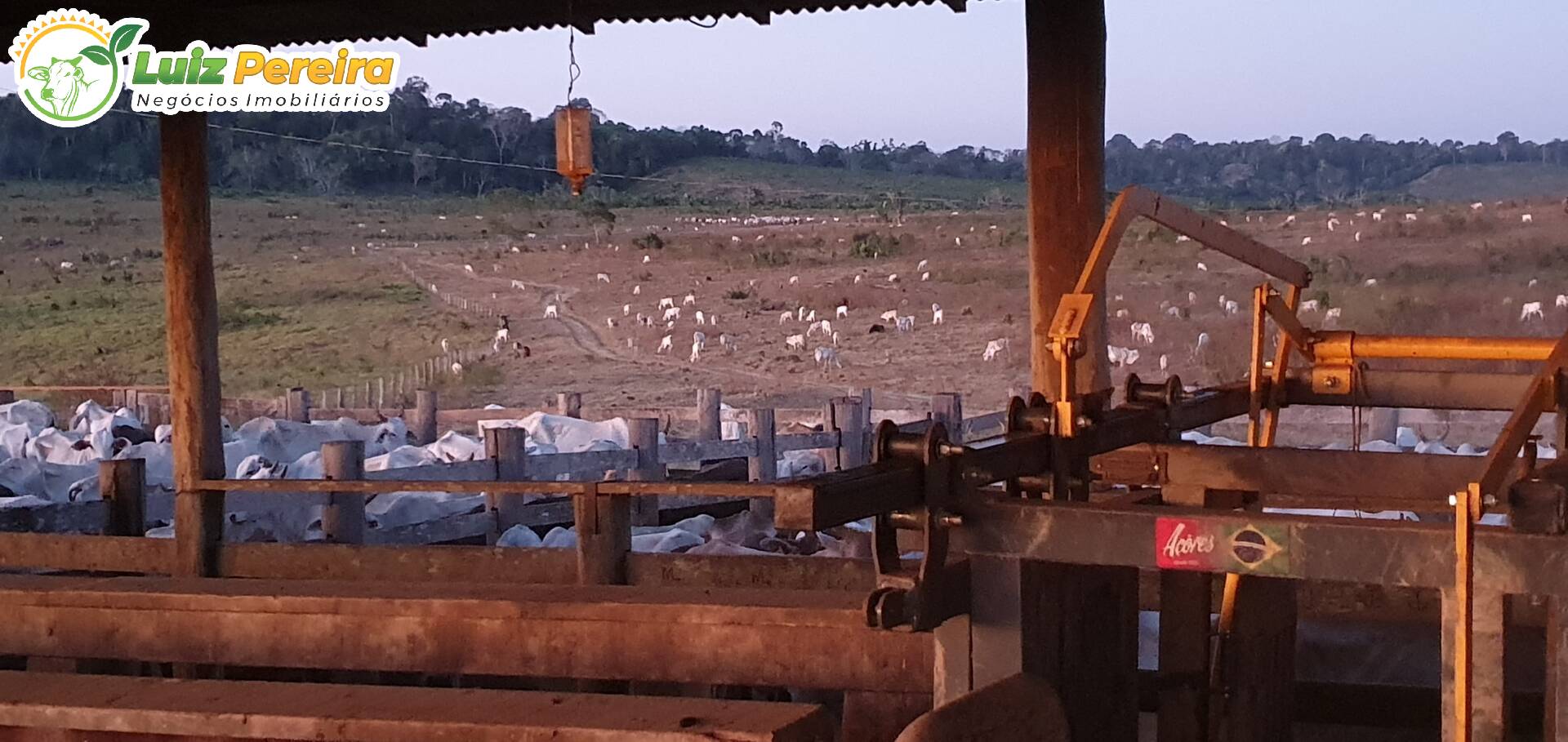 Terreno, 6312 m² - Foto 13