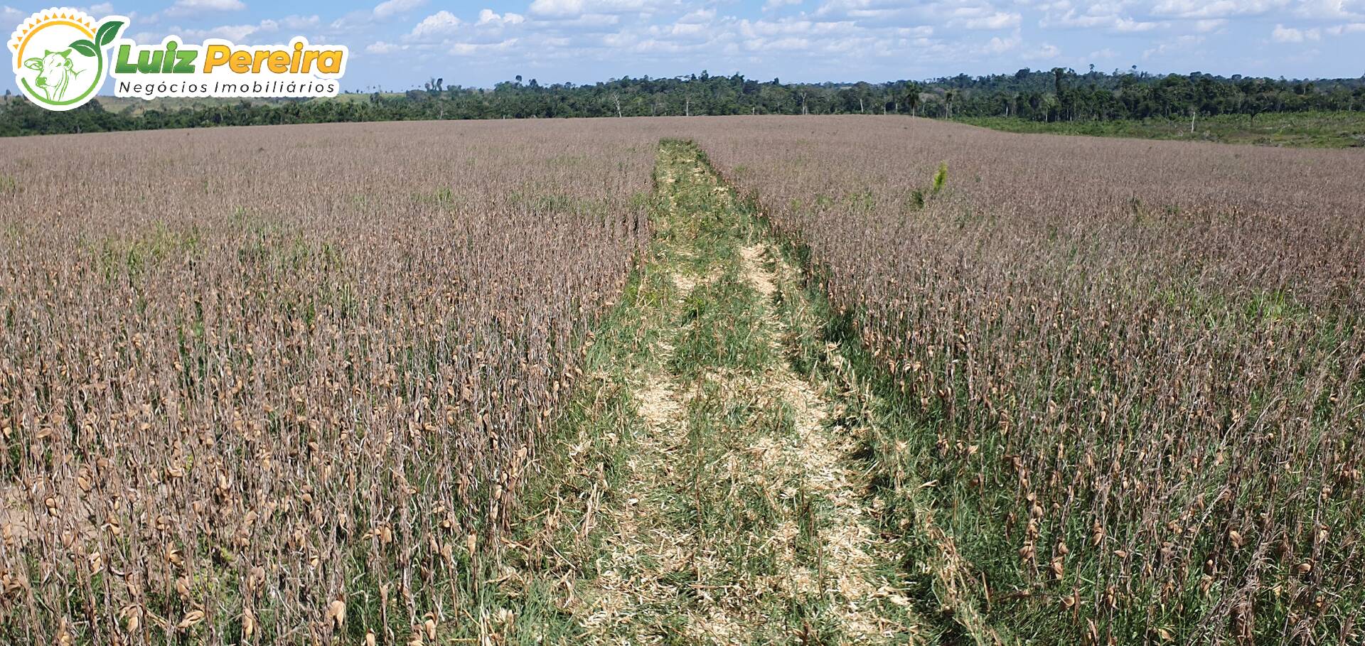 Terreno, 6312 m² - Foto 16