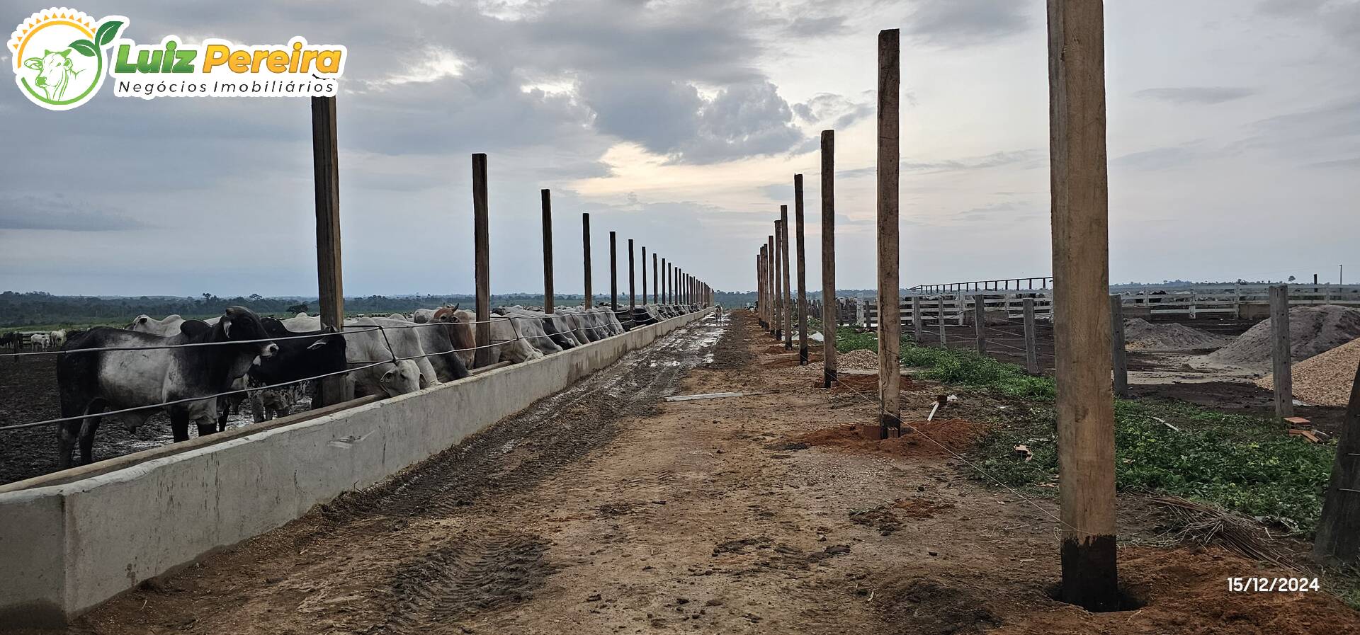 Terreno, 6312 m² - Foto 17