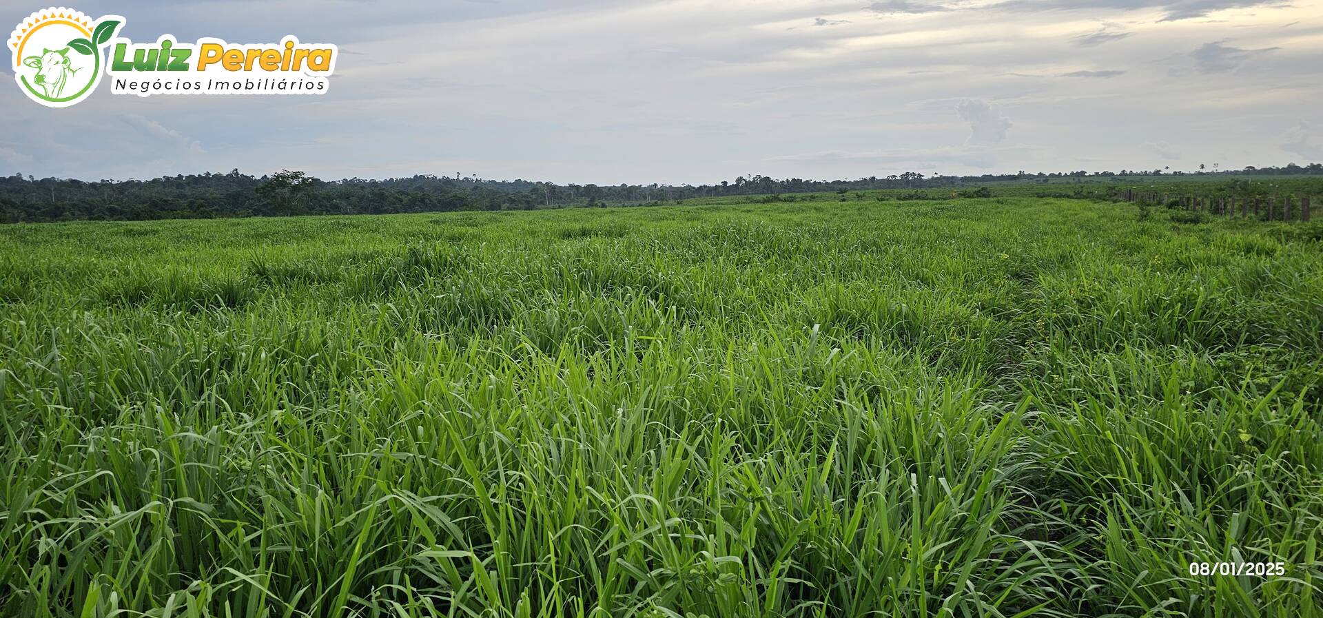 Terreno, 6312 m² - Foto 20