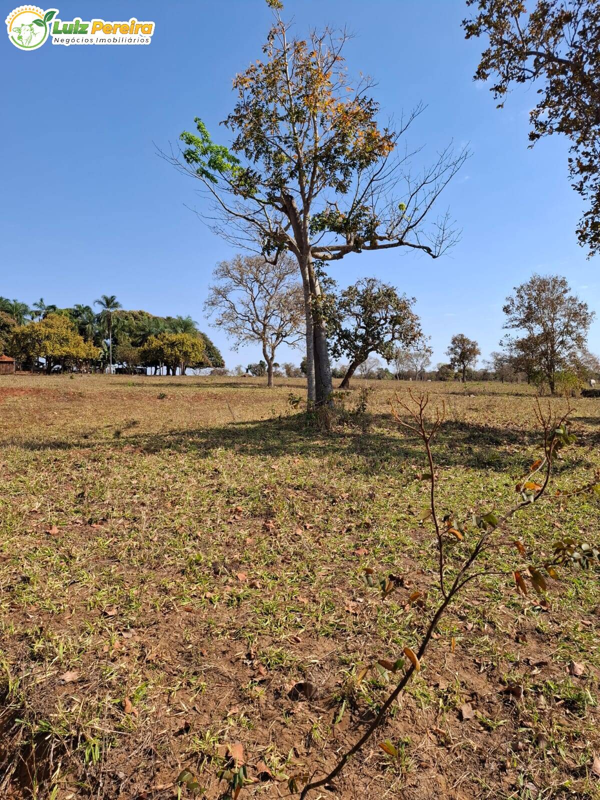 Terreno, 191 m² - Foto 2