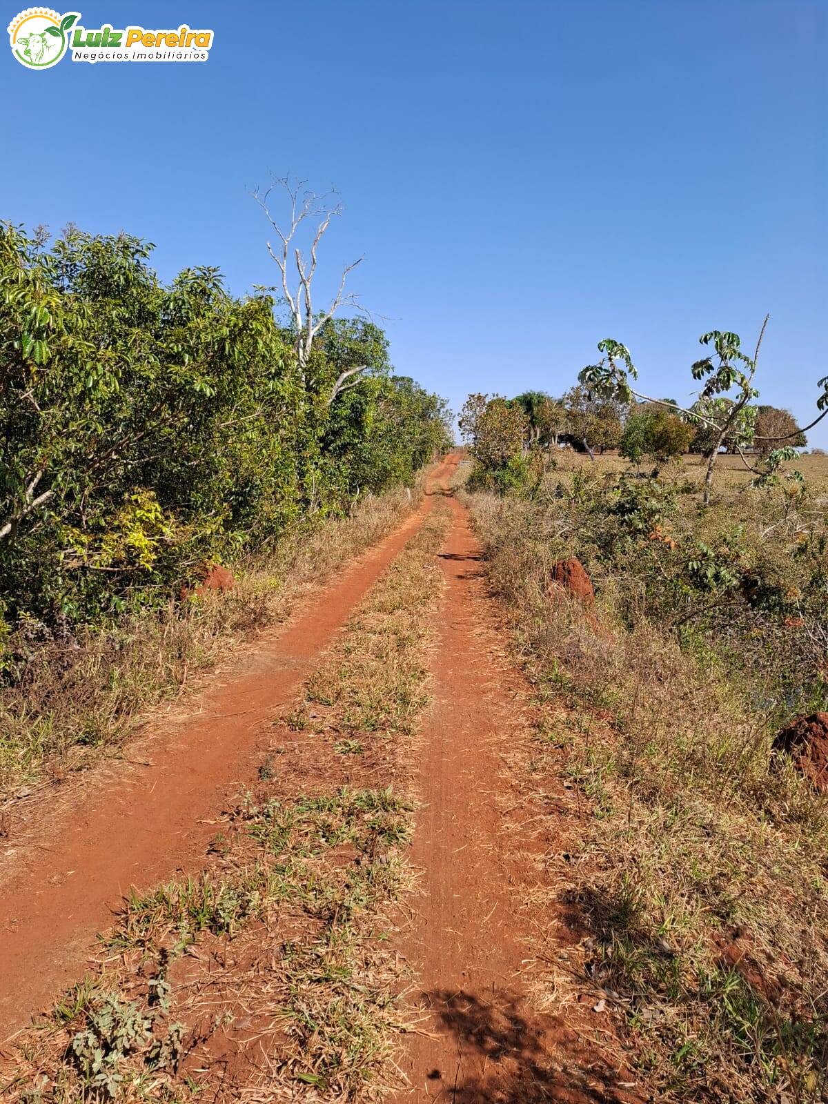 Terreno, 191 m² - Foto 8