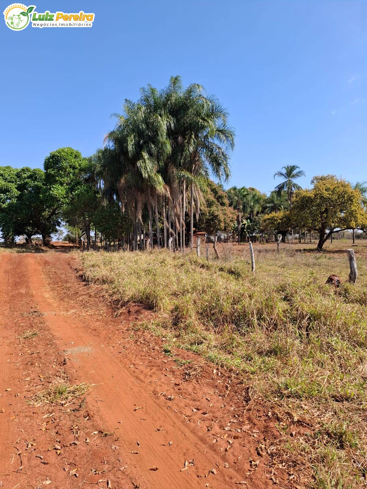 Terreno, 191 m² - Foto 9